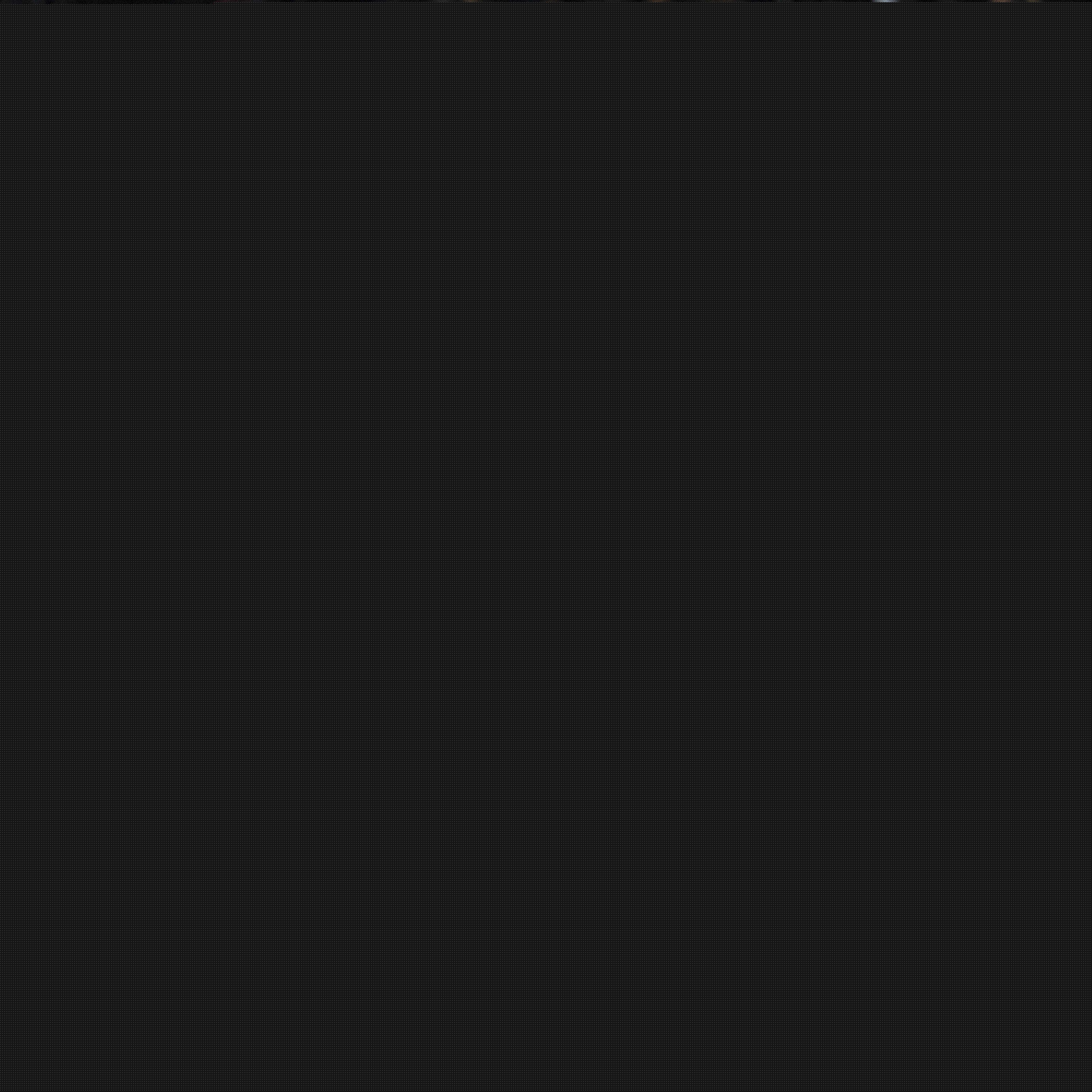 他的多面性