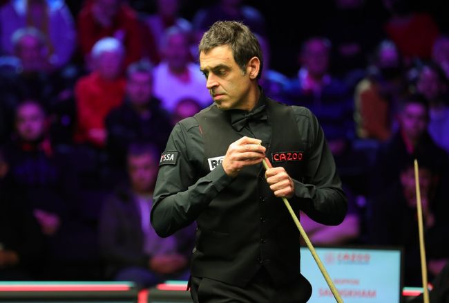 职业生涯的 职业生涯的