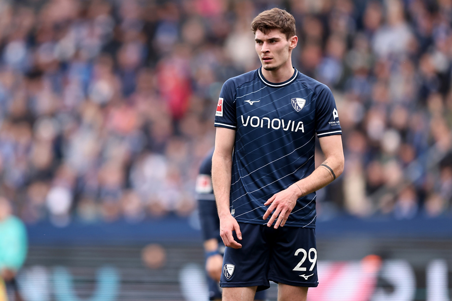 的专注神态 的专注神态