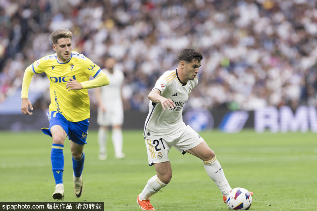 稳健的篮板 稳健的篮板